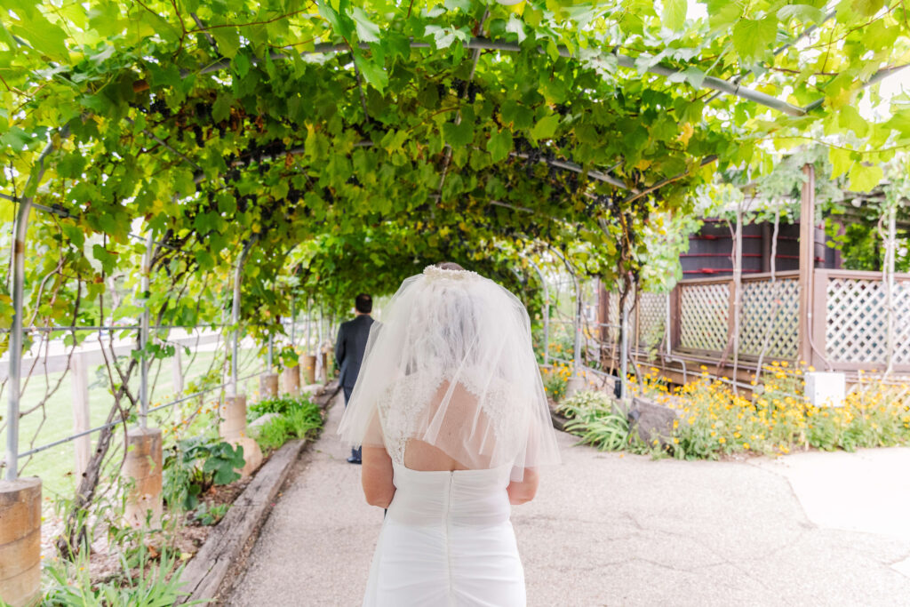 bride and groom have first look at vinoklet winery